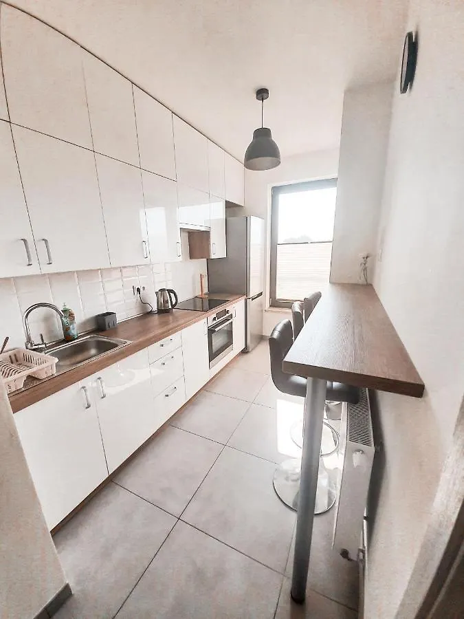 Apartament Krakow Arena No. 100